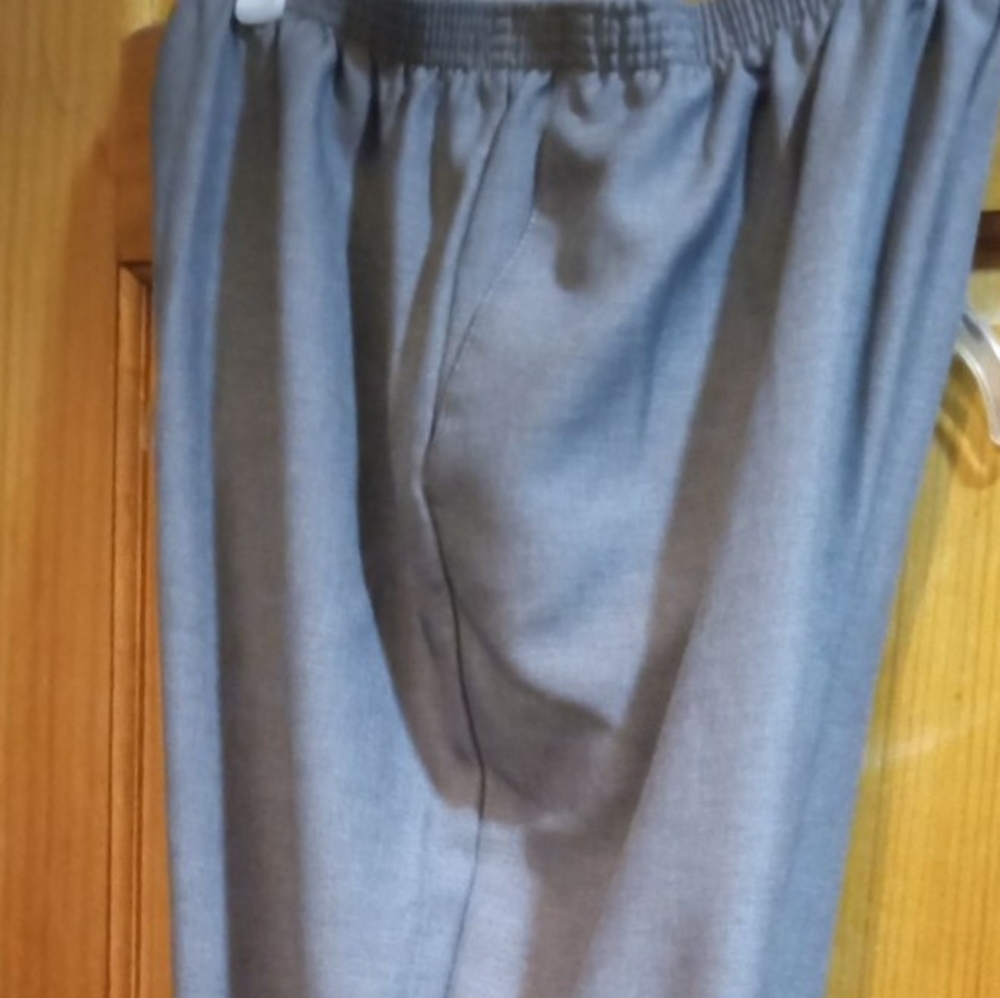Women's Size 20 Alfred Dunner Gray dress pants with front pockets - $20.00